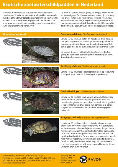 Herkenningskaart zoetwaterschildpadden
