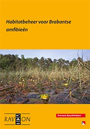 Habitatbeheer voor Brabantse amfibieën