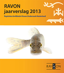 Jaarverlag 2013 RAVON