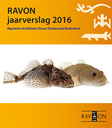 Jaarverlag 2016 RAVON
