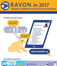 Jaarverlag 2017 RAVON
