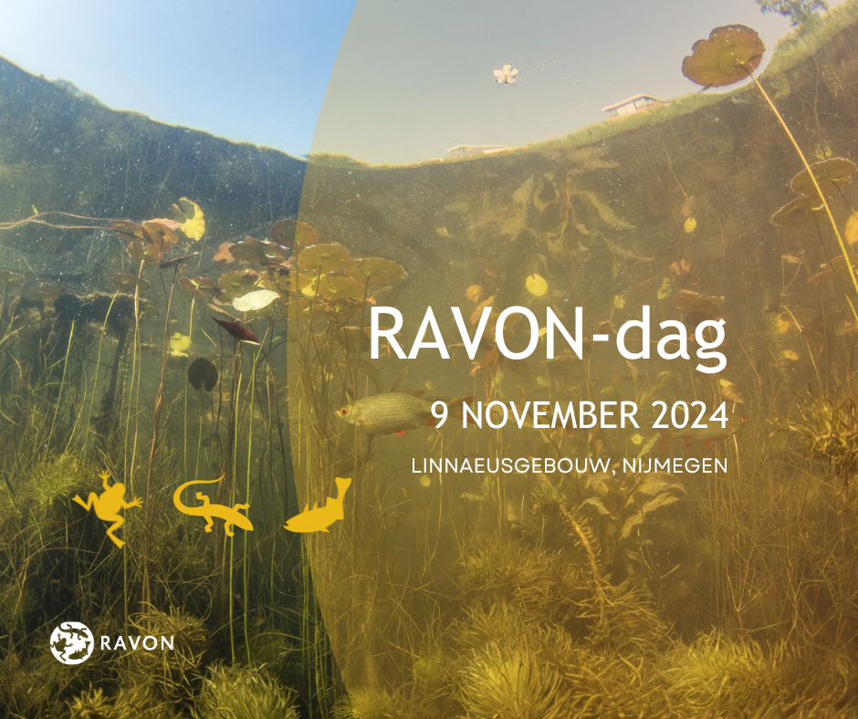 Banner RAVON-dag 2024