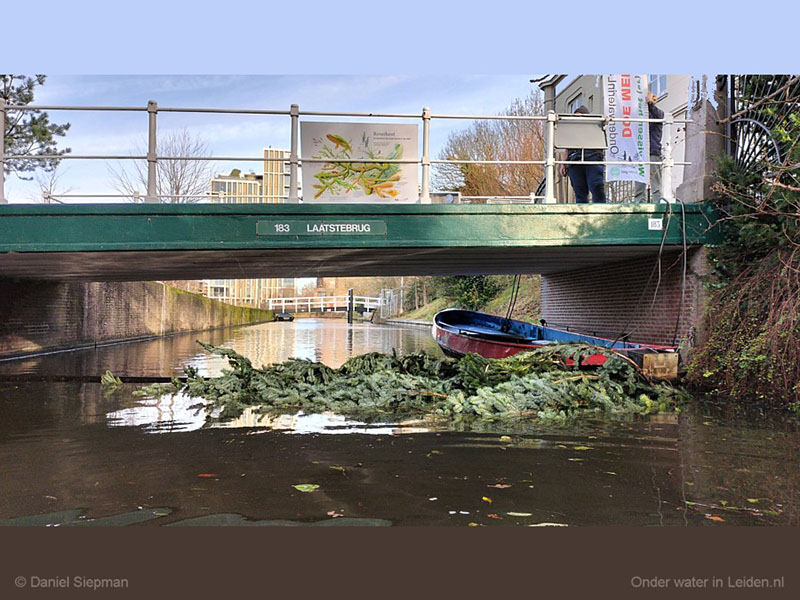 Kerstboom als kunstrif in de Binnenvestgracht Leiden. Foto: Onder Water Leiden.nl